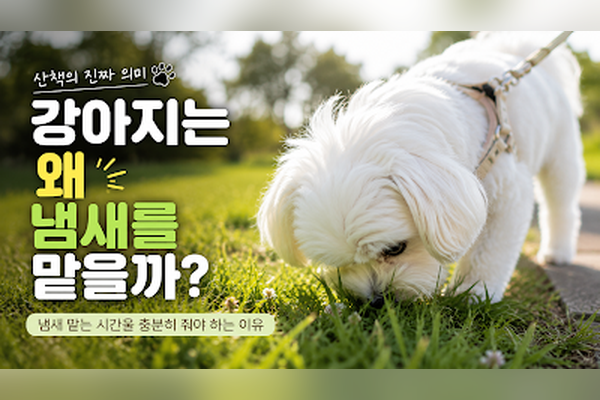 강아지는 왜 냄새를 맡을까?