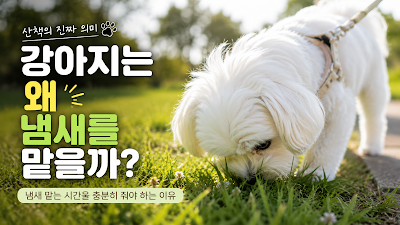강아지가 산책 중 잔디 냄새를 맡으며 주변 환경을 탐색하는 모습