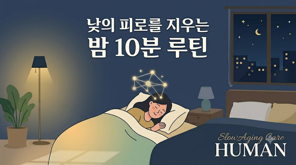 낮의 피로를 지우는 시간, 뇌세포를 청소하는 ‘수면 웰에이징’ 법
