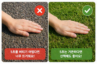 강아지 산책 전 손등으로 아스팔트 온도를 확인하는 방법