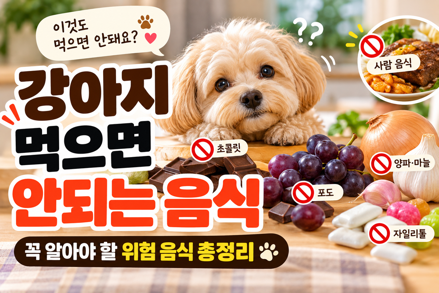 강아지 먹으면 안되는 음식, 꼭 알아야 할 위험 음식 총정리