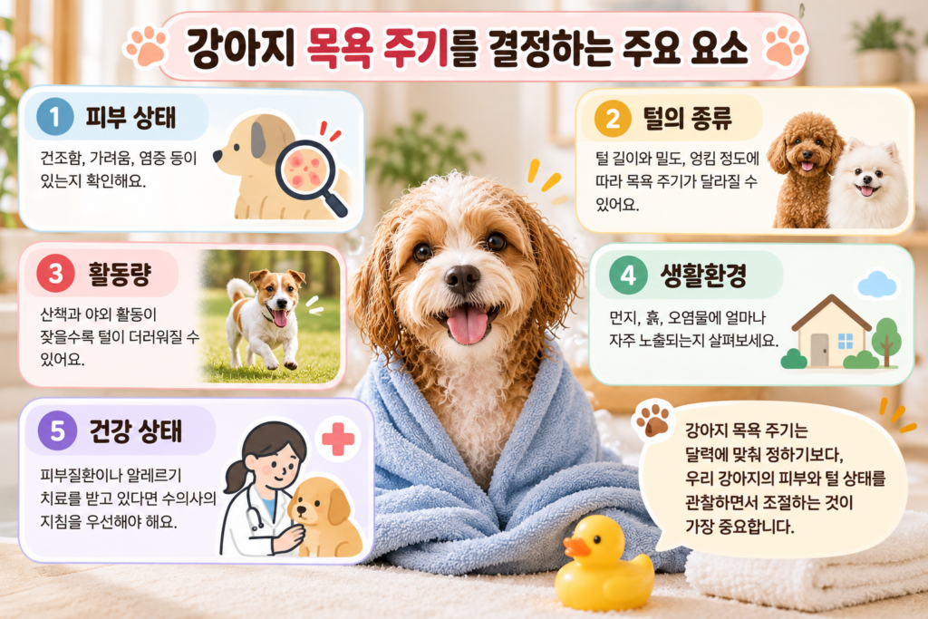 강아지 목욕 주기를 결정하는 피부 상태, 털의 종류, 활동량, 생활환경, 건강 상태 등 5가지 요소를 설명하는 이미지