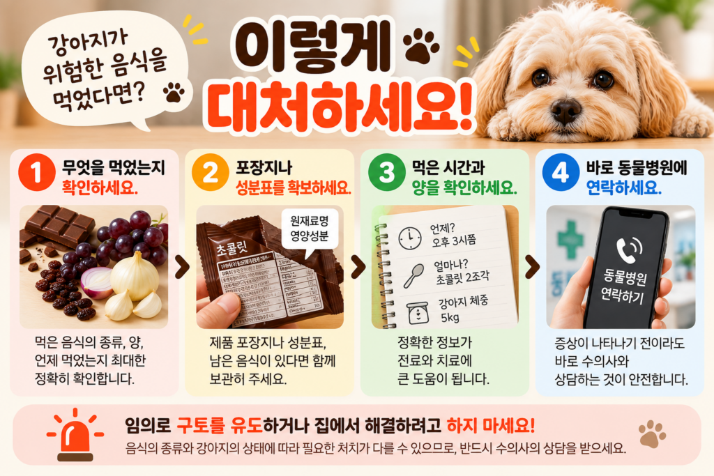 강아지가 위험한 음식을 먹었을 때 음식 확인, 성분표 확보, 섭취 시간과 양 확인, 동물병원 연락 순서를 설명한 이미지