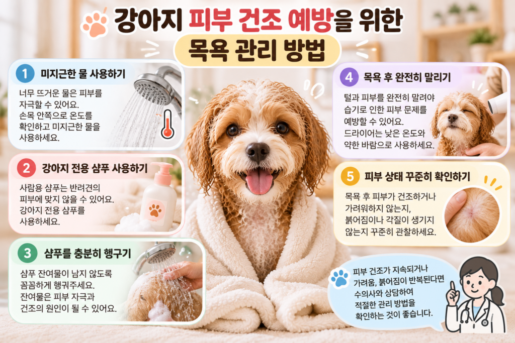 강아지 피부 건조를 예방하기 위한 미지근한 물 사용, 강아지 전용 샴푸 선택, 충분한 헹굼, 목욕 후 건조 및 피부 상태 확인 방법을 설명하는 이미지